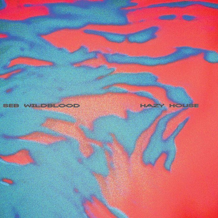 Seb Wildblood - Hazy House [AMT013B]